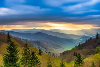 spring in the Smoky Mountains