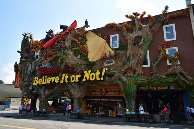 ripley's believe it or not odditorium