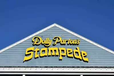 dollys stampede