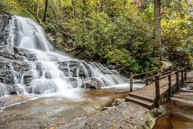 laurel falls bridge