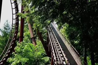 tennessee tornado roller coaster in dollywood