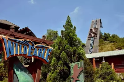 the wild eagle roller coaster with sign in dollywood