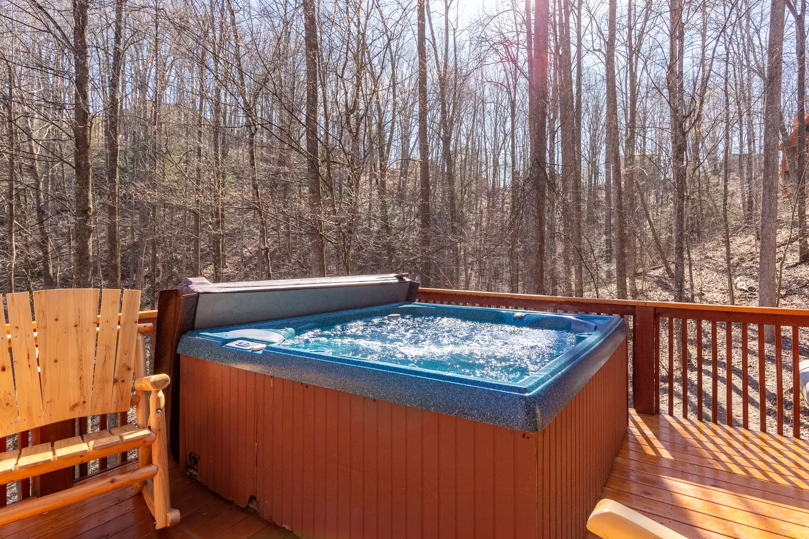 Luxury Mountain Lodge