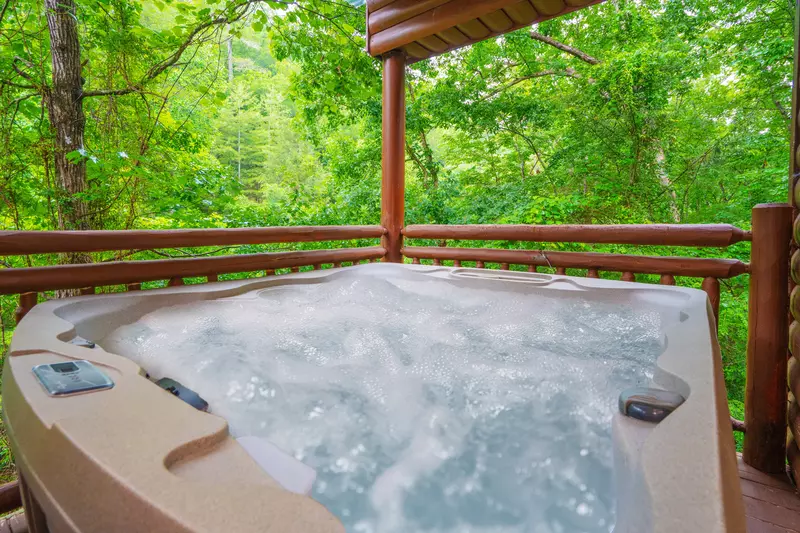 Swimming Bear Lodge