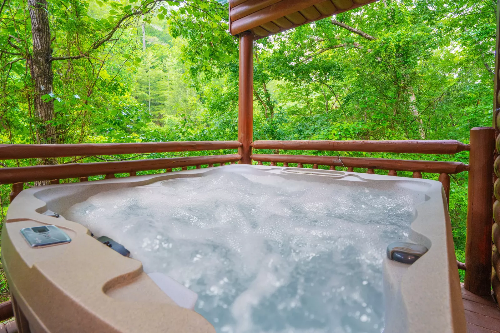 Swimming Bear Lodge