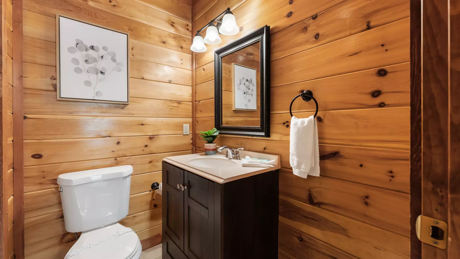 Amazing Adventure Lodge