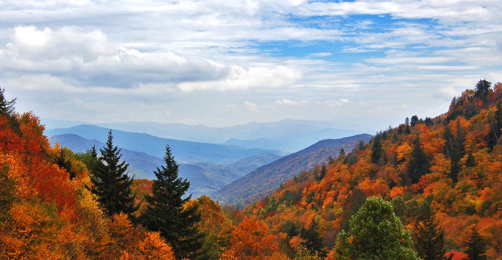 Endless Views