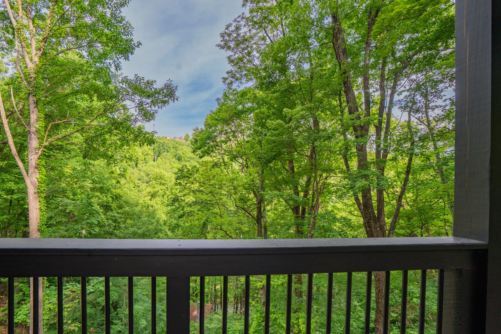 Legacy Lodge