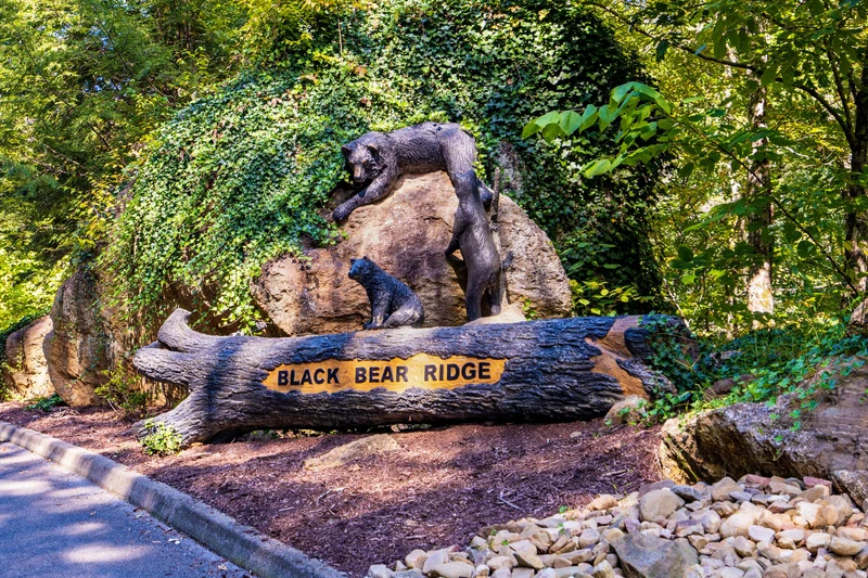 Amazing Adventure Lodge
