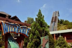 the wild eagle roller coaster with sign in dollywood