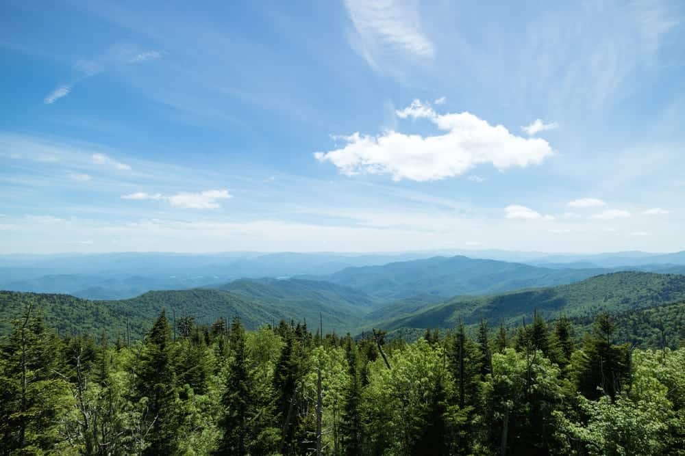 smoky mountains in the summer
