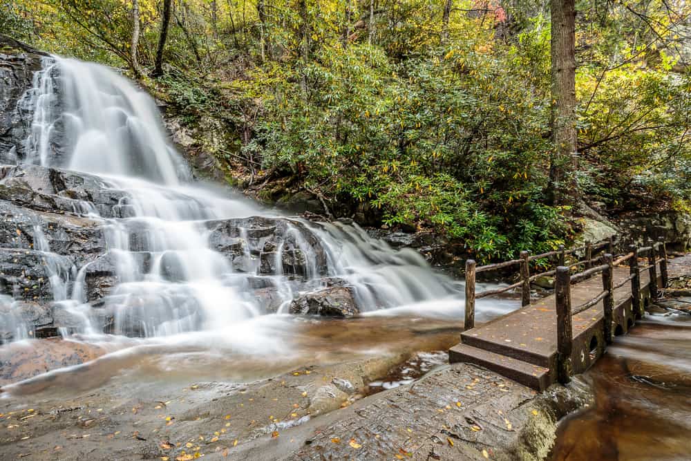 Why the Laurel Falls Trail is One of the Best Hikes in the Smoky Mountains