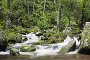 stream in the Smoky Mountains along the Roaring Fork Motor Nature Trail