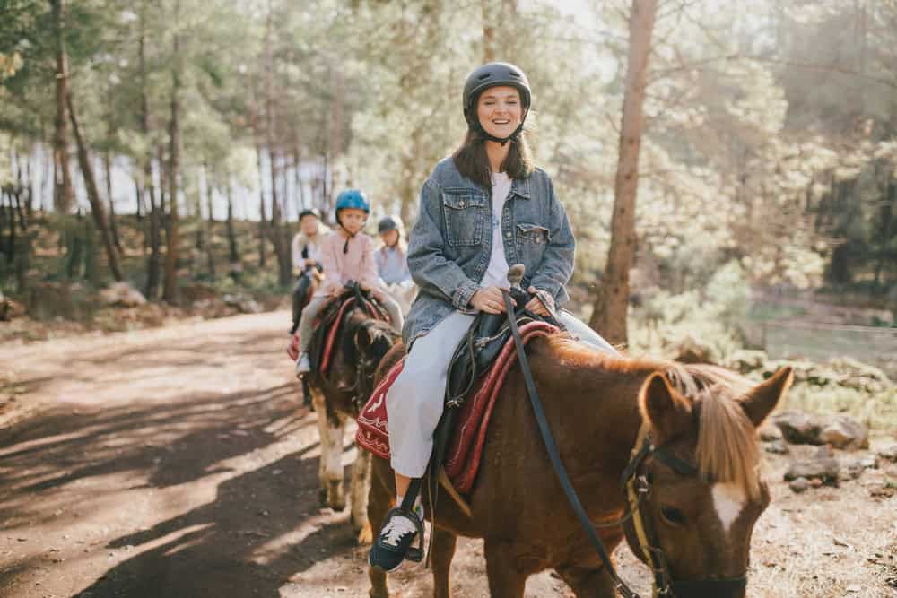 horseback riding in great smoky mountains national park